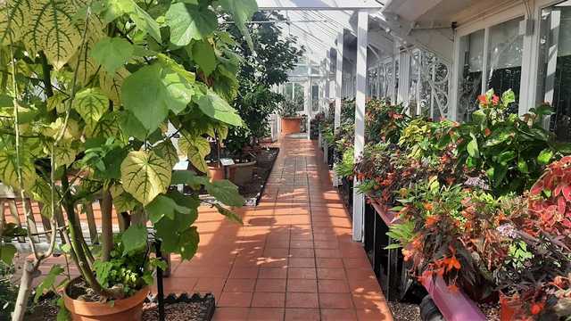 The Birmingham Botanical Gardens