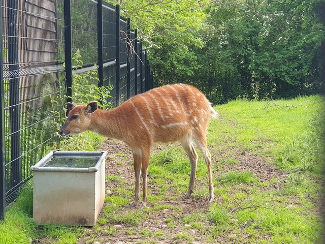 Birmingham Wildlife Conservation Park