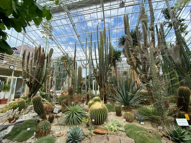 الحديقة النباتية ميونخ