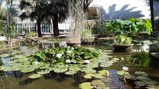 Botanical Garden Valencia