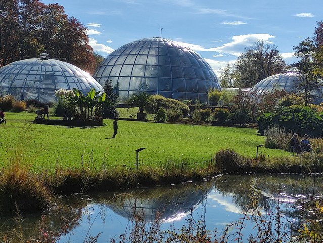 things to do in Zurich