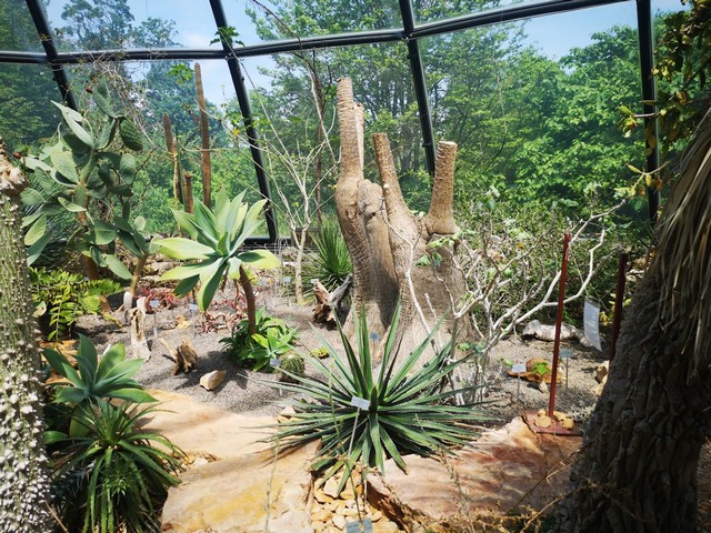الحديقة النباتية لجامعة زيوريخ _ Botanical Garden Zurich