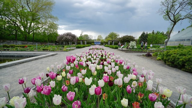 Montreal Botanical Garden
