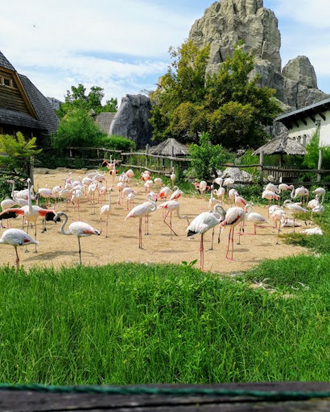 things to do in Budapest with Kids