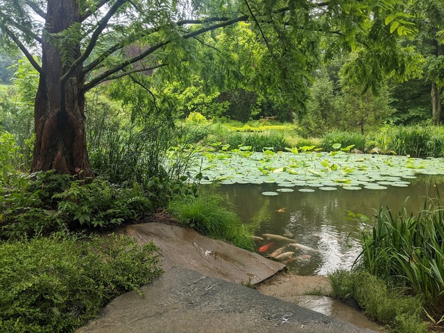 Chanticleer Garden in Philadelphia