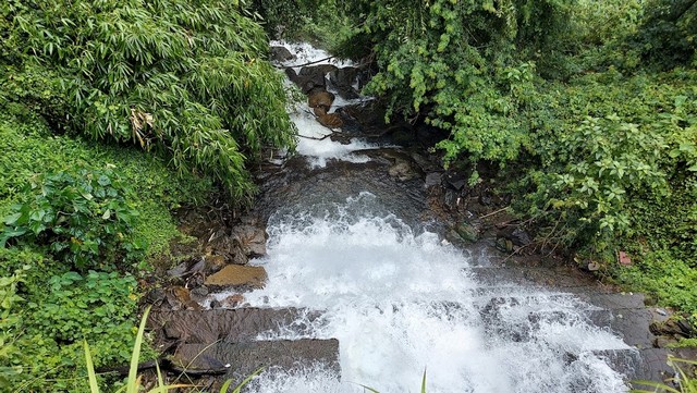 Cheeyappara Waterfall - best things to do in Kerala 