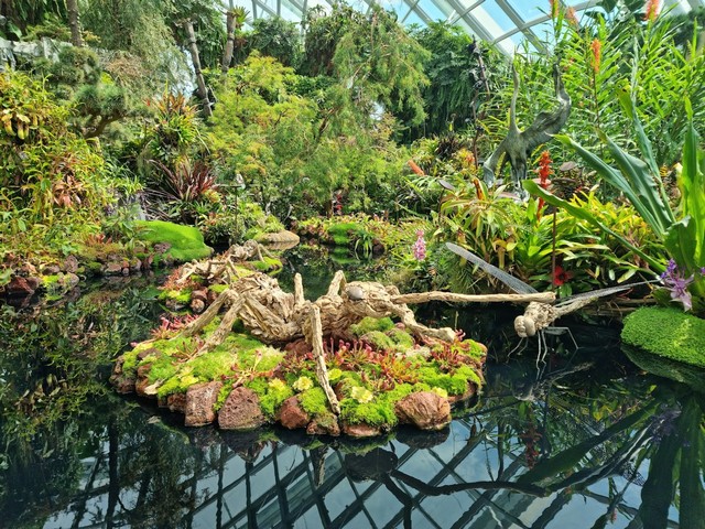 حديقة كلاود فورست النباتية سنغافورة - Cloud Forest Singapore