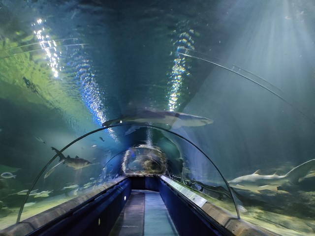 best family things to do in Edinburgh