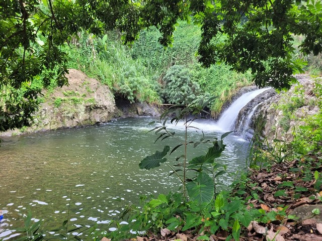 things to do in Reunion
