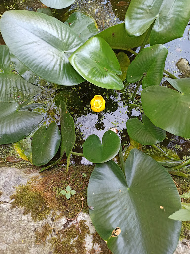 Diomidous Botanical Garden