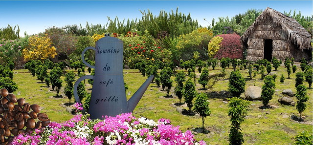 Domaine du Cafe Grille Park in Reunion