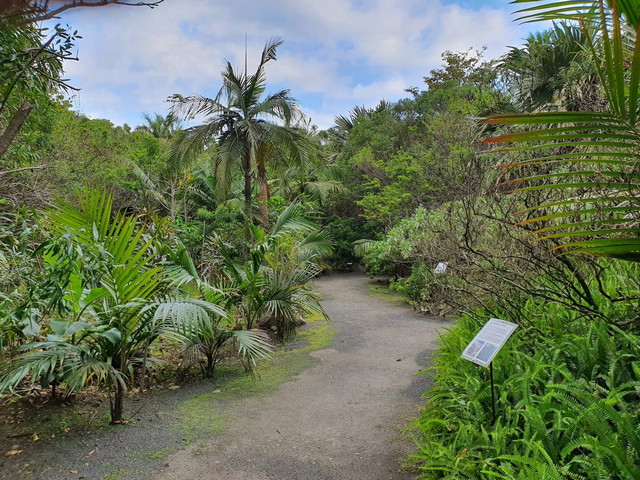 Domaine du Cafe Grille Park in Reunion