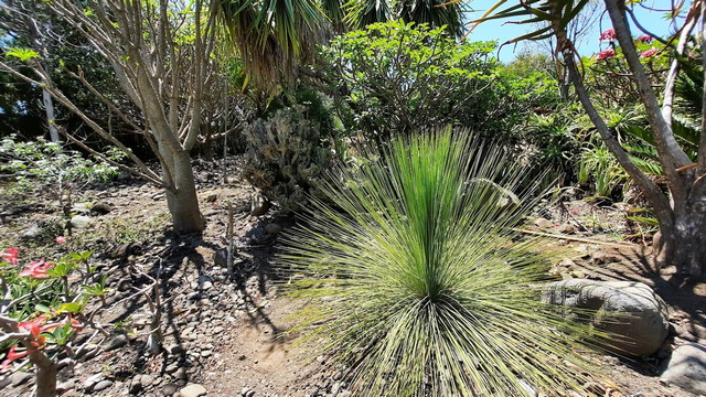 Domaine du Cafe Grille Park in Reunion