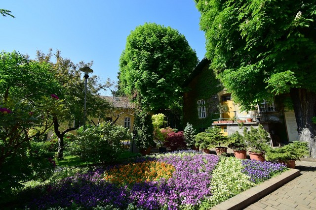 things to do in Budapest with family