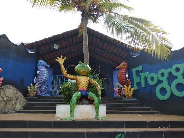 fun things to do in Goa