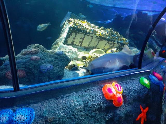Gardaland Aquarium Verona