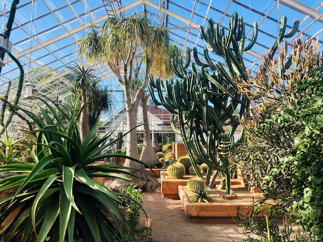 Botanical Garden in Gothenburg