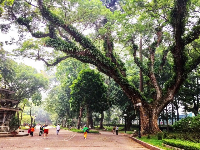 Botanical Garden in Hanoi - حديقة هانوي النباتية هانوي
