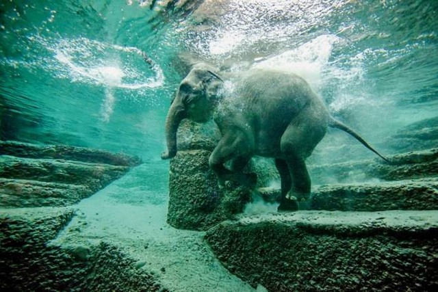 Hellabrunn Zoo Munich Germany
