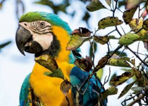 Hellabrunn Zoo Munich