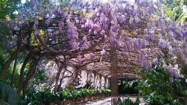 Historic Botanical Garden La Concepcion Malaga - حدائق لا كونسيبسيون النباتية في ملقا