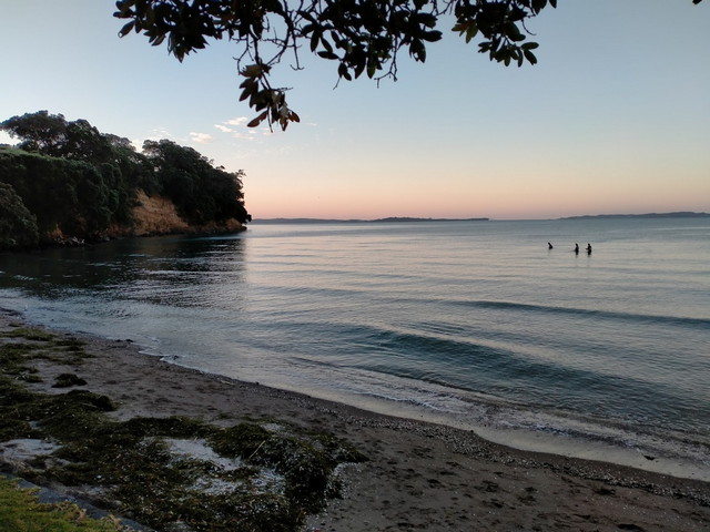 best beach in Auckland