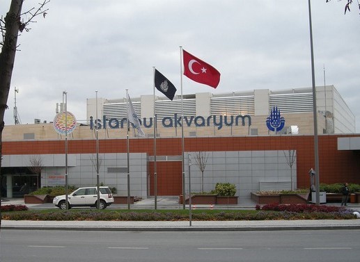 Istanbul Aquarium