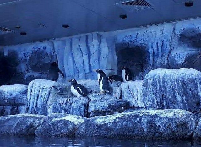 Istanbul Aquarium