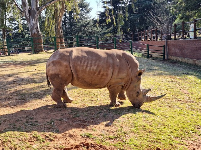 JHB Zoo
