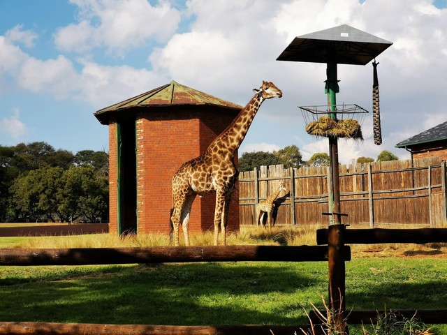 tourist things to do in Johannesburg