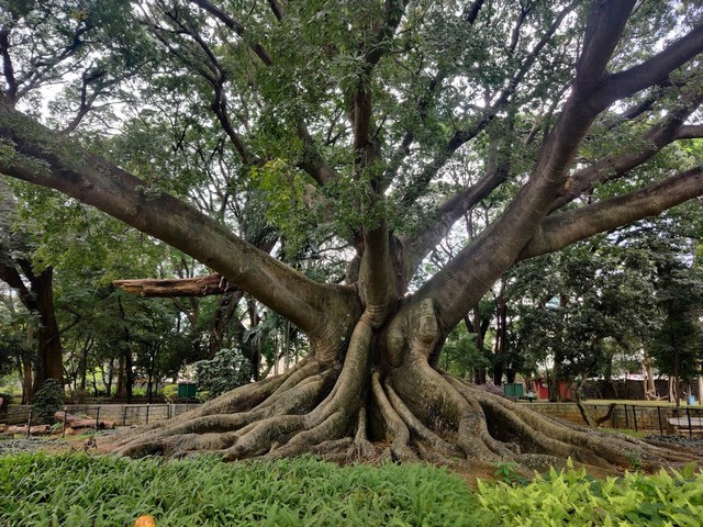 best things to do in Bengaluru