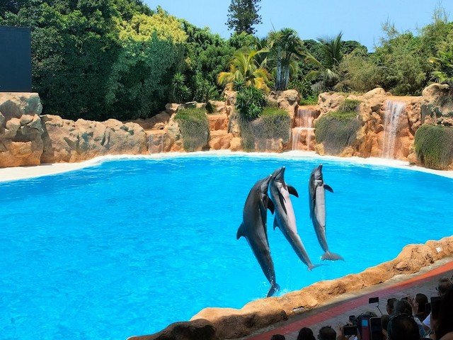 Loro Park