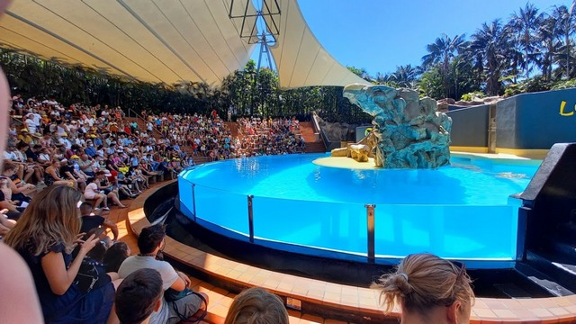 Loro Park Canary Islands