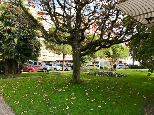 Lungolago Corniche in Montreux - كورنيش لونجو لاغو مونترو