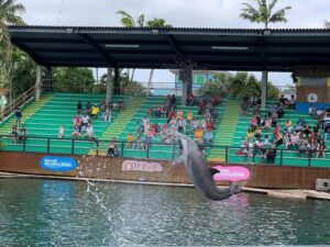 ميامي اكواريوم - Miami Seaquarium