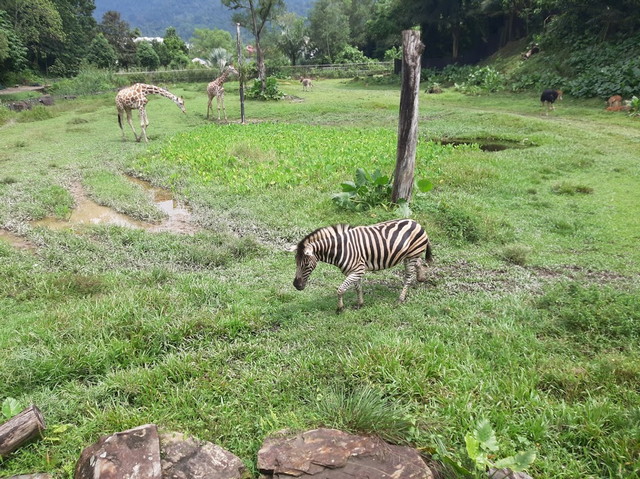 best parks in Selangor