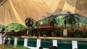 Negara Zoo Selangor _ tourist attractions in Selangor