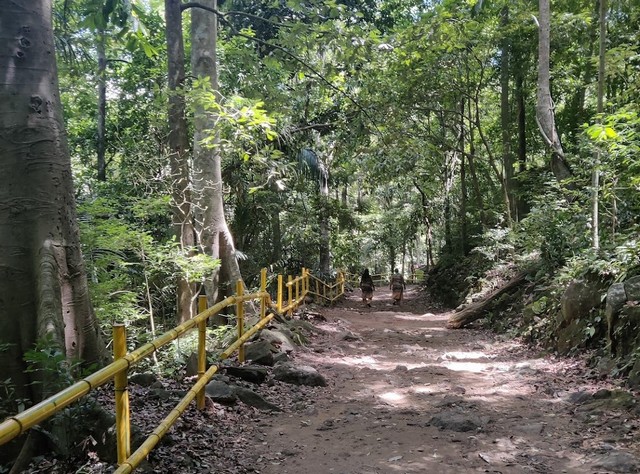 Palaruvi Waterfalls