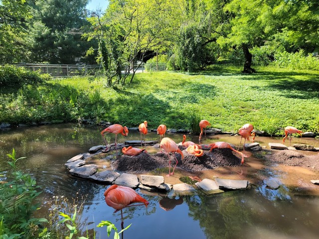 Philadelphia Zoo