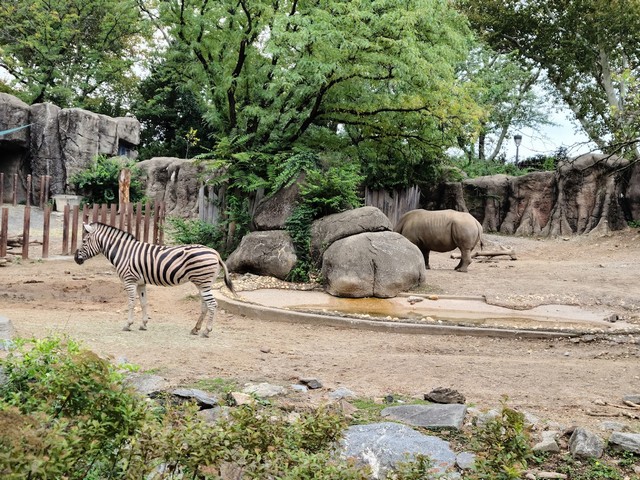 Philadelphia Zoo