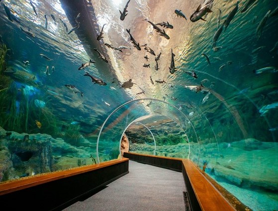 attractions in Canary Islands for families