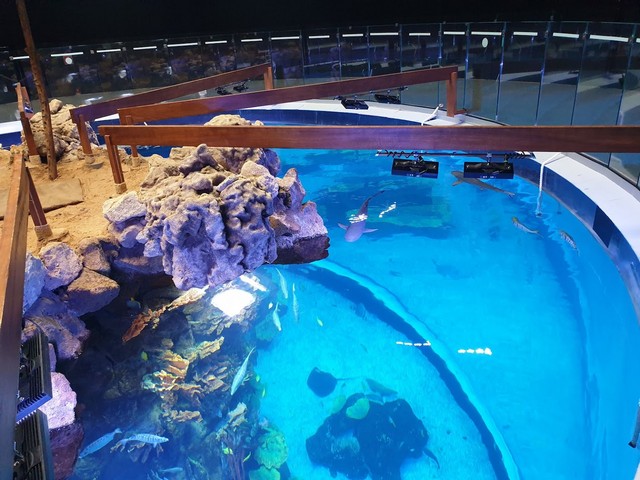 things to do in Canary Islands with Kids