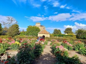 best family things to do in Edinburgh
