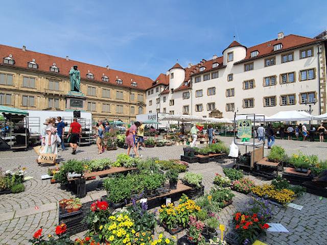 best things to do in Stuttgart Germany