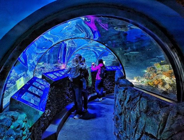 Sea Life Aquarium Munich - things to do in Munich