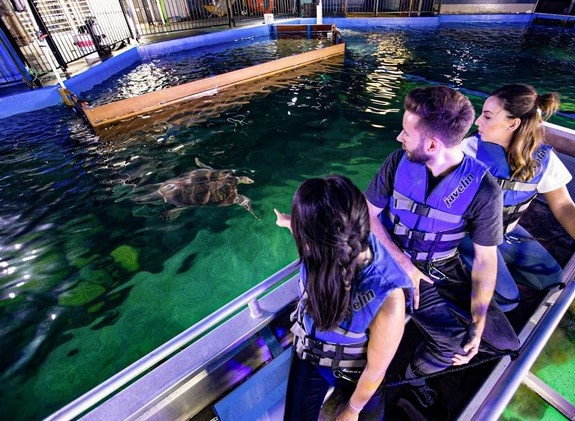 things to do in Sydney with Kids