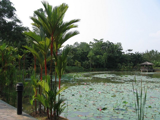 things to do in Singapore with family