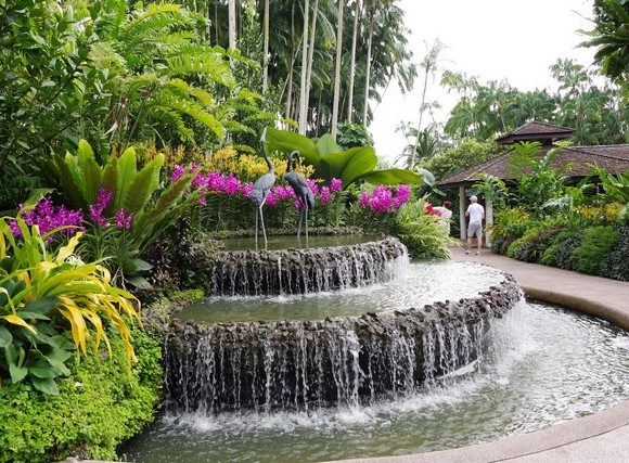 حديقة سنغافورة النباتية - Singapore Botanic Garden