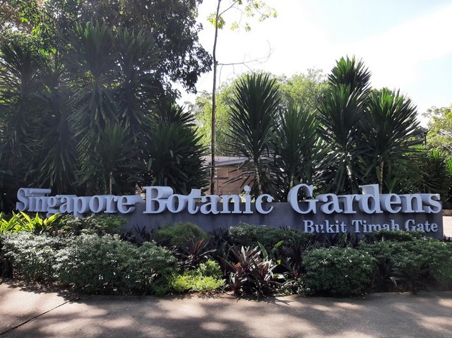 top things to do in Singapore