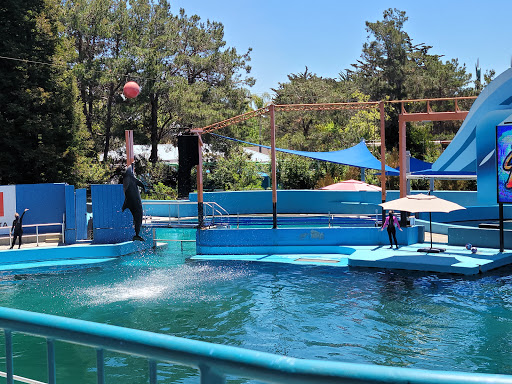 Six Flags Discovery Kingdom Amusement Park San Francisco